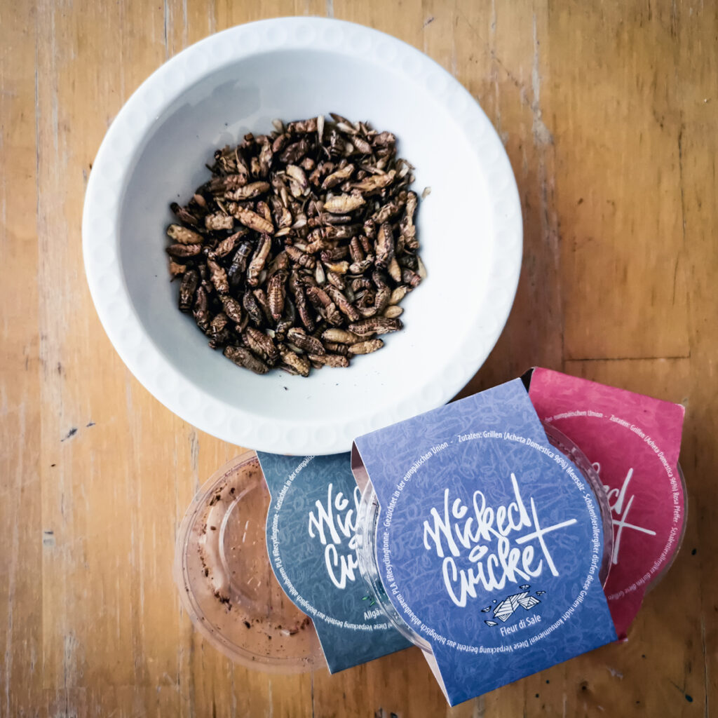 Insektenfood-Startup Wicked Cricked bietet geröstete und gewürzte Grillen als Snack